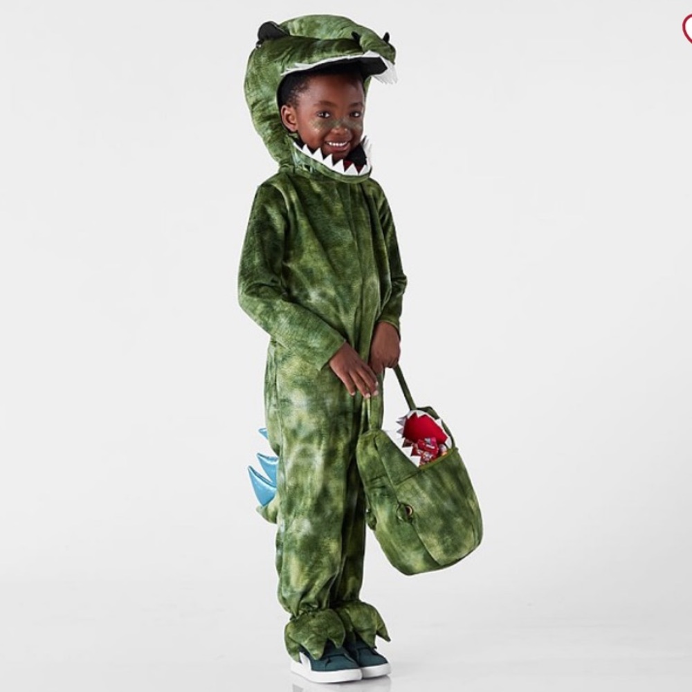 Pottery Barn Dinosaur Costume